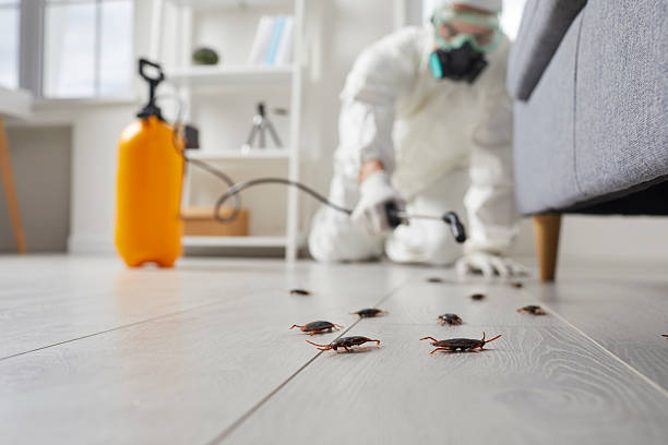 Trusted Termite Control service in Berwyn, PA - Nex Pest Control